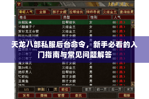 天龙八部私服后台命令,新手必看的入门指南与常见问题解答 天龙八部私服后台命令,新手必看的入门指南与常见问题解答