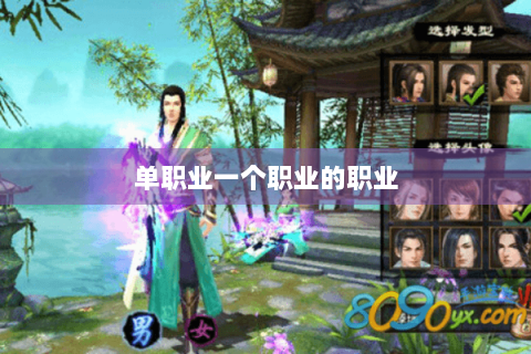 单职业一个职业的职业