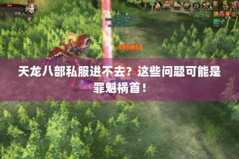 天龙八部私服进不去?这些问题可能是罪魁祸首! 天龙八部私服进不去?这些问题可能是罪魁祸首!