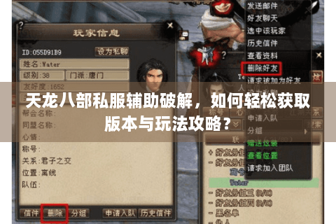 天龙八部私服辅助破解，如何轻松获取版本与玩法攻略？
