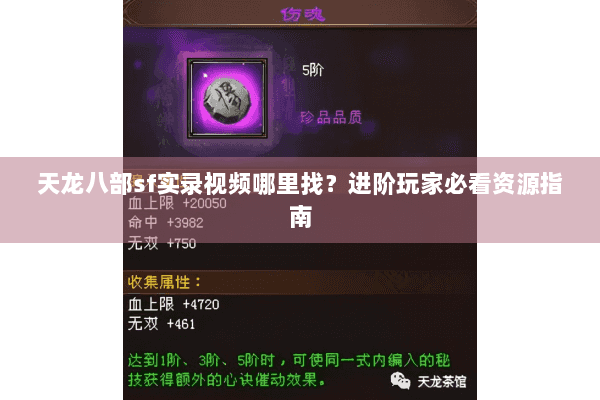 天龙八部sf实录视频哪里找?进阶玩家必看资源指南 天龙八部sf实录视频哪里找?进阶玩家必看资源指南