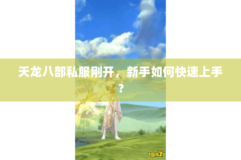 天龙八部私服刚开，新手如何快速上手？