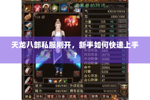 天龙八部私服刚开，新手如何快速上手？