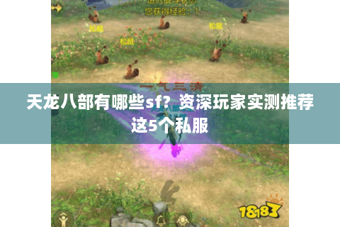 天龙八部有哪些sf？资深玩家实测推荐这5个私服