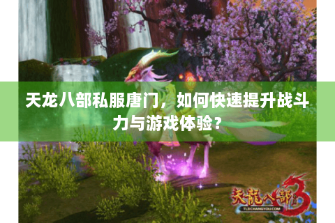 天龙八部私服唐门,如何快速提升战斗力与游戏体验? 天龙八部私服唐门,如何快速提升战斗力与游戏体验?
