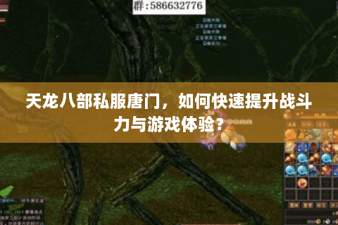 天龙八部私服唐门,如何快速提升战斗力与游戏体验? 天龙八部私服唐门,如何快速提升战斗力与游戏体验?
