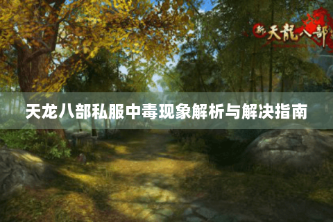 天龙八部私服中毒现象解析与解决指南