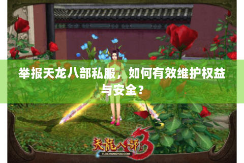 举报天龙八部私服,如何有效维护权益与安全? 举报天龙八部私服,如何有效维护权益与安全?