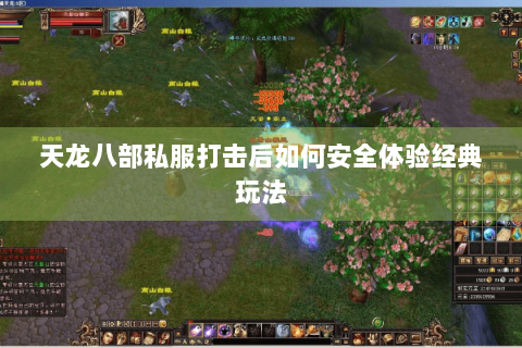 天龙八部私服打击后如何安全体验经典玩法