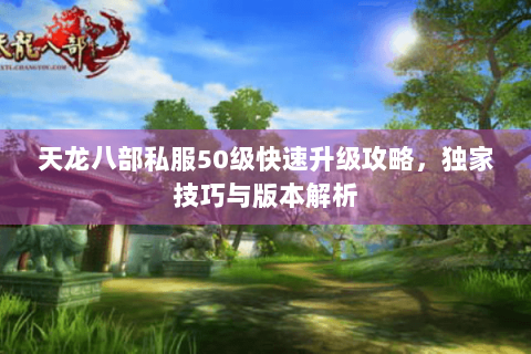 天龙八部私服50级快速升级攻略，独家技巧与版本解析