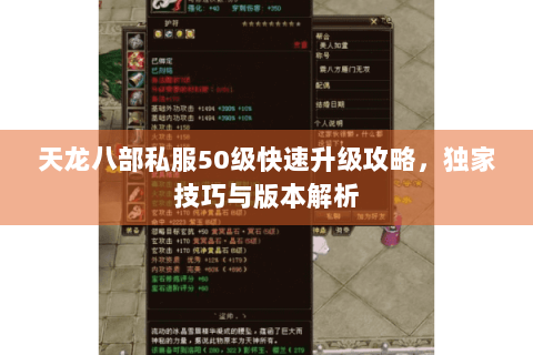 天龙八部私服50级快速升级攻略，独家技巧与版本解析