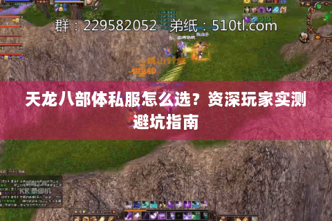天龙八部体私服怎么选？资深玩家实测避坑指南