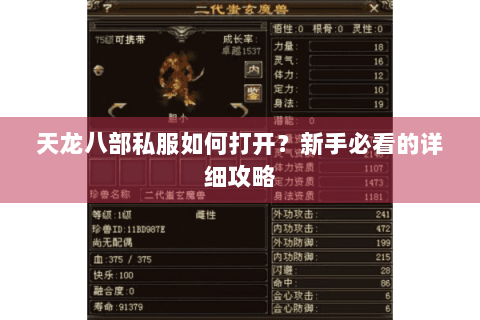 天龙八部私服如何打开?新手必看的详细攻略 天龙八部私服如何打开?新手必看的详细攻略