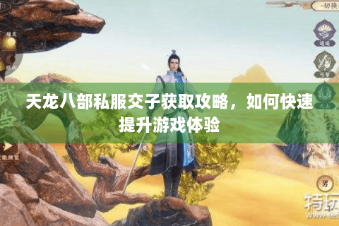 天龙八部私服交子获取攻略，如何快速提升游戏体验