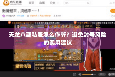 天龙八部私服怎么作弊?避免封号风险的实用建议 天龙八部私服怎么作弊?避免封号风险的实用建议