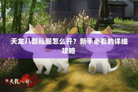 天龙八部私服怎么开?新手必看的详细攻略 天龙八部私服怎么开?新手必看的详细攻略