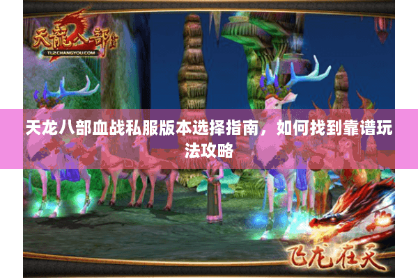 天龙八部血战私服版本选择指南，如何找到靠谱玩法攻略