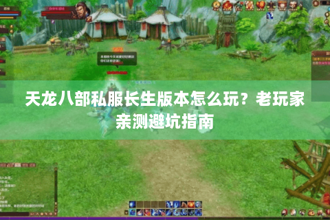 天龙八部私服长生版本怎么玩?老玩家亲测避坑指南 天龙八部私服长生版本怎么玩?老玩家亲测避坑指南