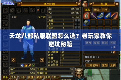 天龙八部私服联盟怎么选?老玩家教你避坑秘籍 天龙八部私服联盟怎么选?老玩家教你避坑秘籍