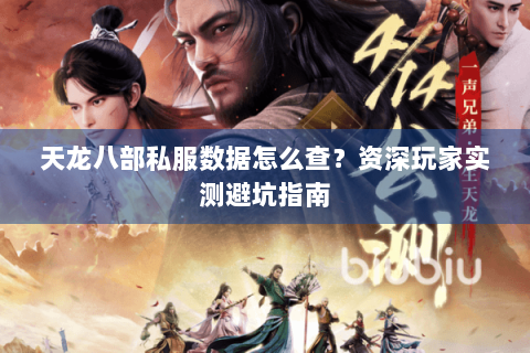 天龙八部私服数据怎么查？资深玩家实测避坑指南