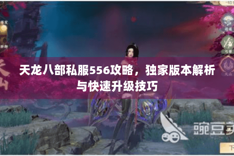 天龙八部私服556攻略，独家版本解析与快速升级技巧