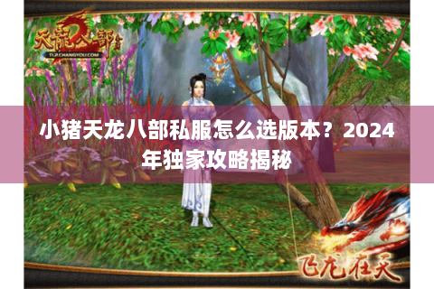小猪天龙八部私服怎么选版本？2024年独家攻略揭秘