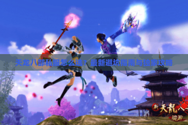 天龙八部私服怎么选？最新避坑指南与独家攻略