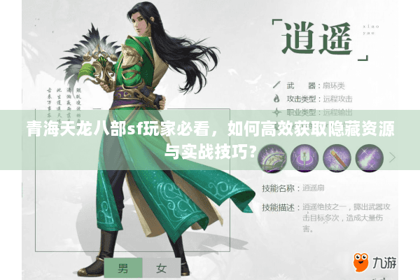 青海天龙八部sf玩家必看，如何高效获取隐藏资源与实战技巧？