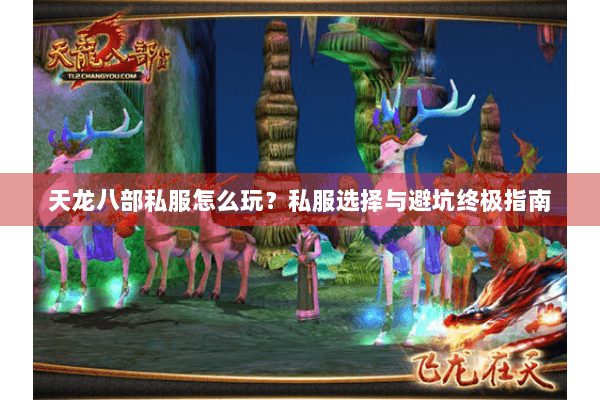 天龙八部私服怎么玩？私服选择与避坑终极指南