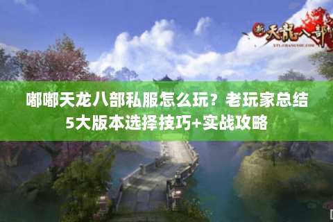 嘟嘟天龙八部私服怎么玩?老玩家总结5大版本选择技巧+实战攻略 嘟嘟天龙八部私服怎么玩?老玩家总结5大版本选择技巧+实战攻略