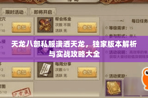 天龙八部私服潇洒天龙，独家版本解析与实战攻略大全