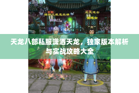 天龙八部私服潇洒天龙，独家版本解析与实战攻略大全