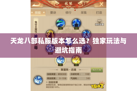 天龙八部私服版本怎么选?独家玩法与避坑指南 天龙八部私服版本怎么选?独家玩法与避坑指南