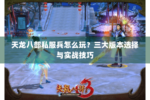 天龙八部私服兵怎么玩?三大版本选择与实战技巧 天龙八部私服兵怎么玩?三大版本选择与实战技巧