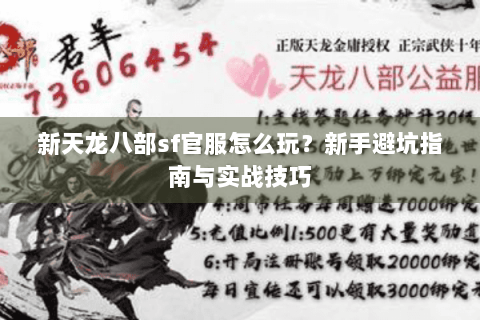 新天龙八部sf官服怎么玩？新手避坑指南与实战技巧