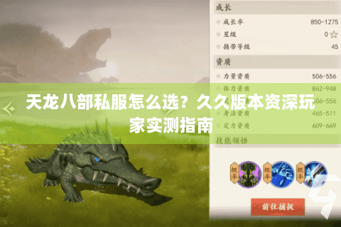 天龙八部私服怎么选？久久版本资深玩家实测指南