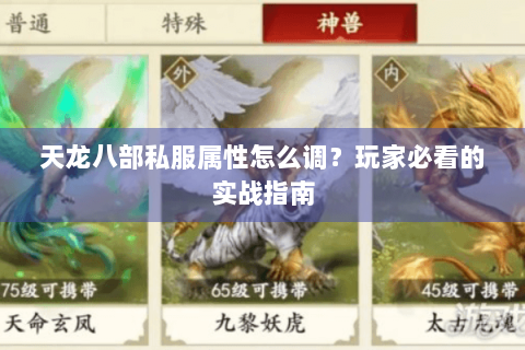 天龙八部私服属性怎么调?玩家必看的实战指南 天龙八部私服属性怎么调?玩家必看的实战指南