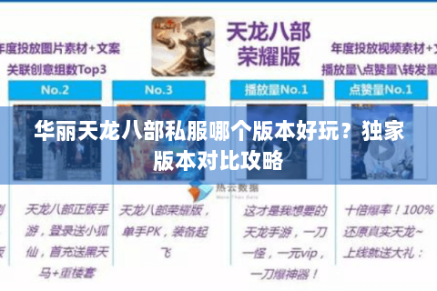 华丽天龙八部私服哪个版本好玩?独家版本对比攻略 华丽天龙八部私服哪个版本好玩?独家版本对比攻略