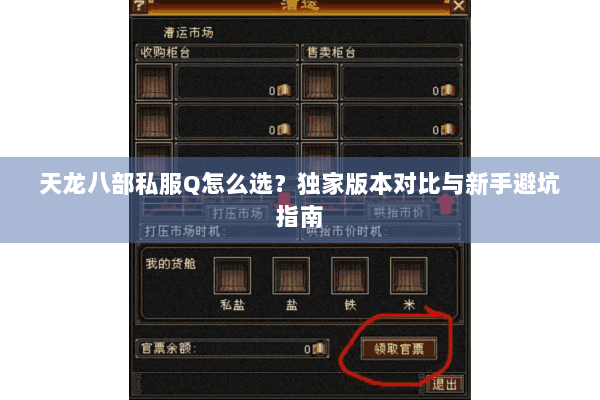 天龙八部私服Q怎么选?独家版本对比与新手避坑指南 天龙八部私服Q怎么选?独家版本对比与新手避坑指南