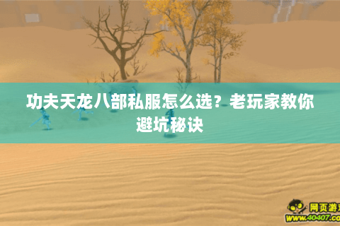 功夫天龙八部私服怎么选？老玩家教你避坑秘诀