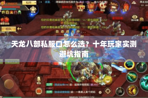天龙八部私服口怎么选?十年玩家实测避坑指南 天龙八部私服口怎么选?十年玩家实测避坑指南