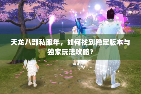 天龙八部私服年,如何找到稳定版本与独家玩法攻略? 天龙八部私服年,如何找到稳定版本与独家玩法攻略?