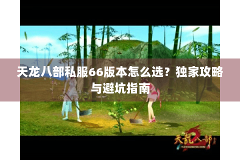 天龙八部私服66版本怎么选?独家攻略与避坑指南 天龙八部私服66版本怎么选?独家攻略与避坑指南