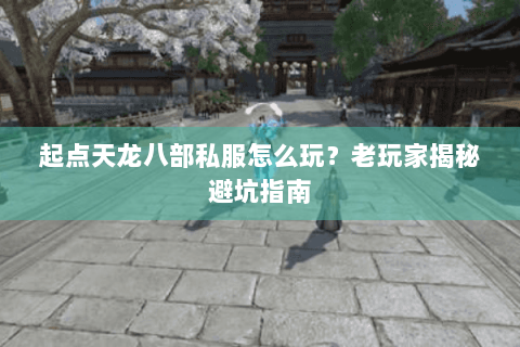 起点天龙八部私服怎么玩?老玩家揭秘避坑指南 起点天龙八部私服怎么玩?老玩家揭秘避坑指南