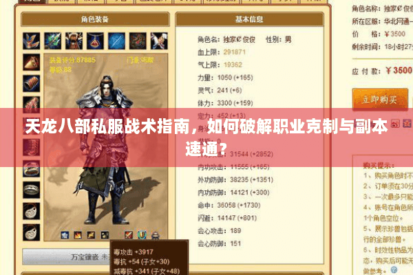 天龙八部私服战术指南,如何破解职业克制与副本速通? 天龙八部私服战术指南,如何破解职业克制与副本速通?