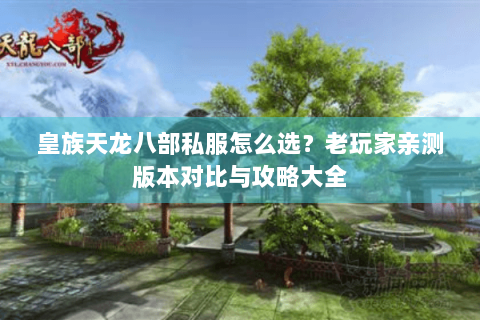 皇族天龙八部私服怎么选?老玩家亲测版本对比与攻略大全 皇族天龙八部私服怎么选?老玩家亲测版本对比与攻略大全