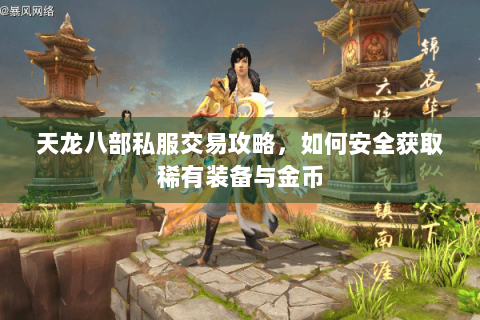 天龙八部私服交易攻略，如何安全获取稀有装备与金币