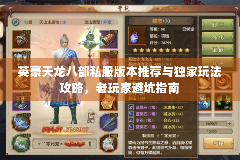 英豪天龙八部私服版本推荐与独家玩法攻略,老玩家避坑指南 英豪天龙八部私服版本推荐与独家玩法攻略,老玩家避坑指南