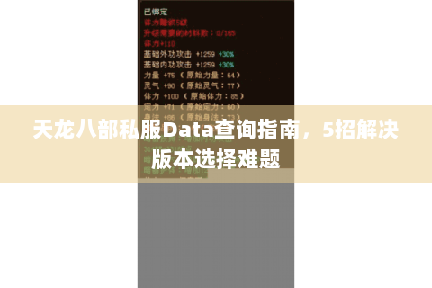 天龙八部私服Data查询指南,5招解决版本选择难题 天龙八部私服Data查询指南,5招解决版本选择难题