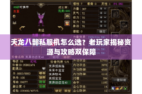 天龙八部私服机怎么选？老玩家揭秘资源与攻略双保障